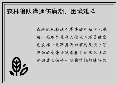 森林狼队遭遇伤病潮，困境难挡