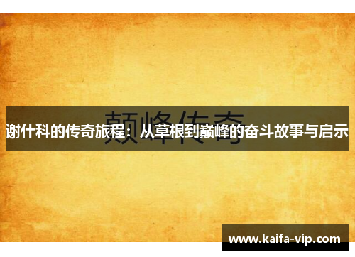 谢什科的传奇旅程：从草根到巅峰的奋斗故事与启示